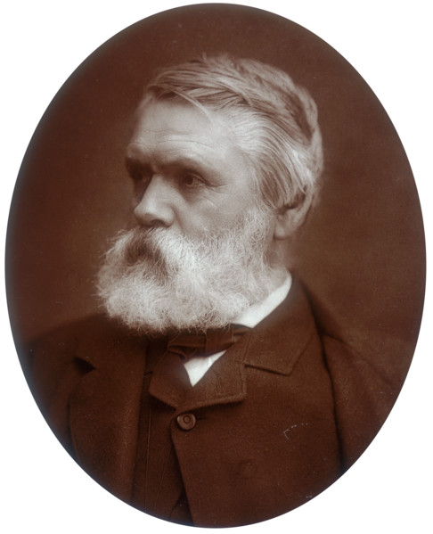 Tom Taylor, dramatist and critic, 1881. Taylor (1817-1880) was a popular Victorian playwright who