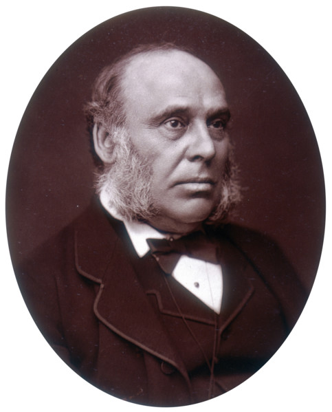 The Right Hon William Henry Smith, MP, 1881. Portrait of the English newsagent and politician