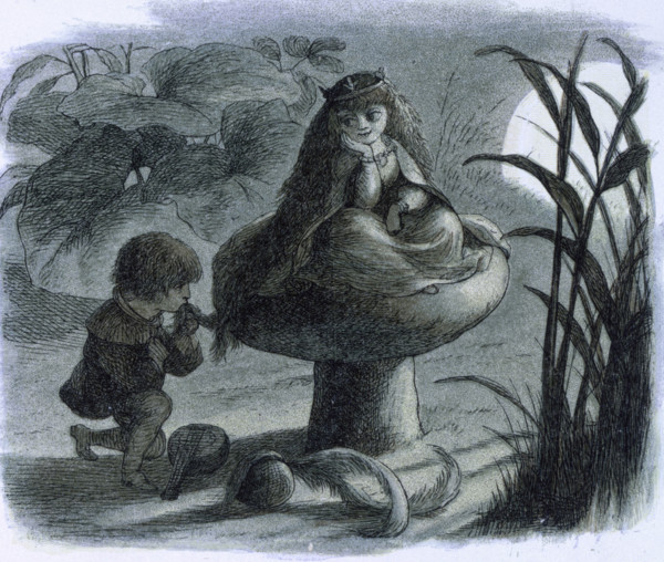 'Water lilies and water fairies of the period', c1869-c1870. A fairy sitting on a toadstool is