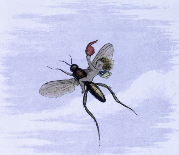 'Water lilies and water fairies of the period', c1869-c1870. Flying away. A fairy flies on the back