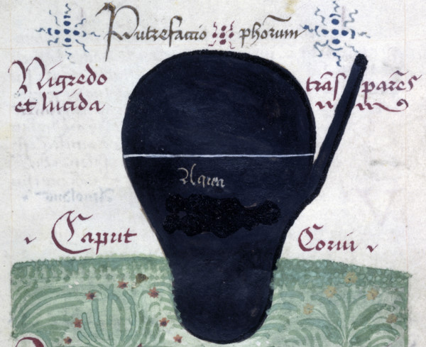 Putrefactio philosophorum (The putrefaction of the philosophers), late 13th century. Drawing of a