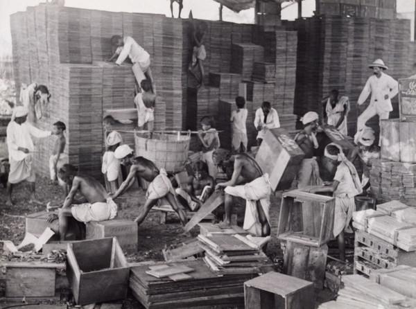 Making tea boxes, Bengal, c1920. Barefoot men and boys assembling crates for packing tea, watched