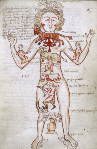 Zodiac man, at the beginning of the Numerus et Ordo signorum, 15th century.  Drawing of a human