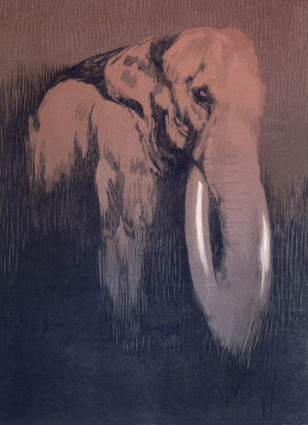 Elephant; scene from "The Jungle Book", 1919. From a French translation of "The Jungle Book" by