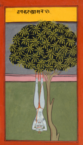 A yogi hanging by his feet from a tree, 19th century. From Asanas and Mudras (Hata yoga).