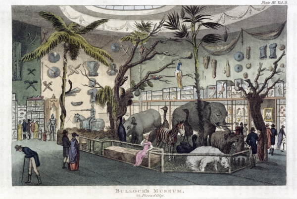 'Bullock's Museum, 22, Piccadilly', London, 1809-1829. An exhibition of models of animals inside