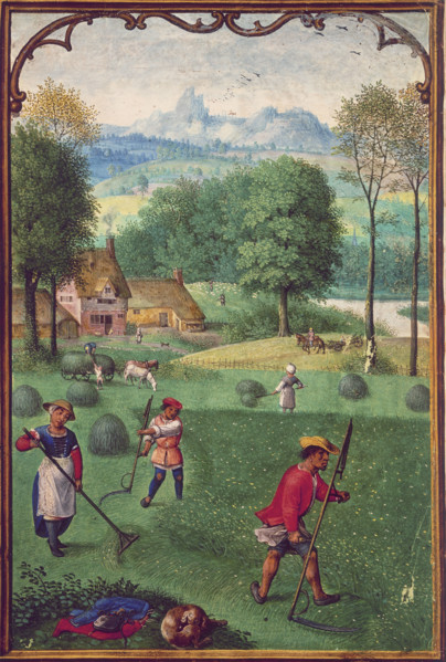 Harvesting, late 15th century. Men use scythes to cut the hay while women rake it into piles. In