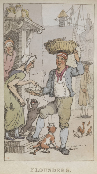 'Flounders'. A trader selling fish., 1820. From Rowlandsons Characteristic Sketches Of The Lower