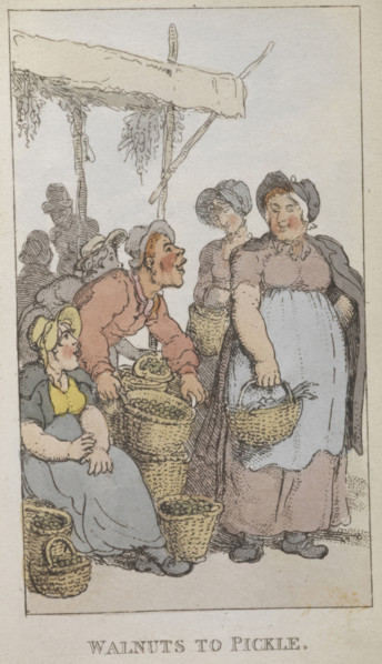'Walnuts to pickle', 1820. Street traders selling pickled walnuts. From Rowlandsons Characteristic