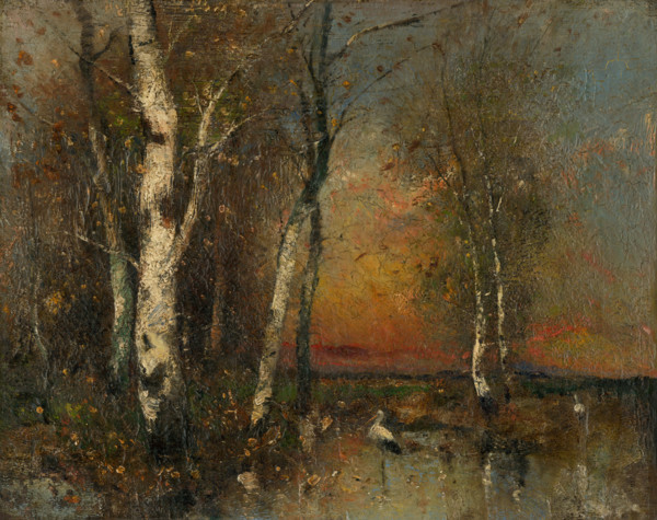 Forest landscape, 1880-1925.