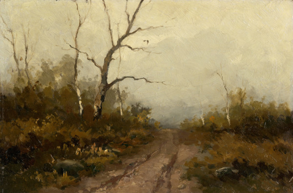 Forest scene, 1890-1900.