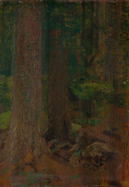 Forest study, 1890-1910.