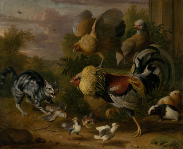 Cat between Cockrels, 1706-1710.