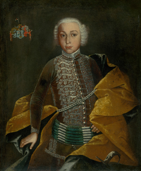 Portrait of Baron Johann Revay as a boy, c1750. Young nobleman wearing a coat embroidered with