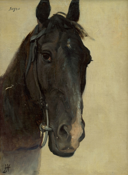 Head study of a black horse, 1890-1900.