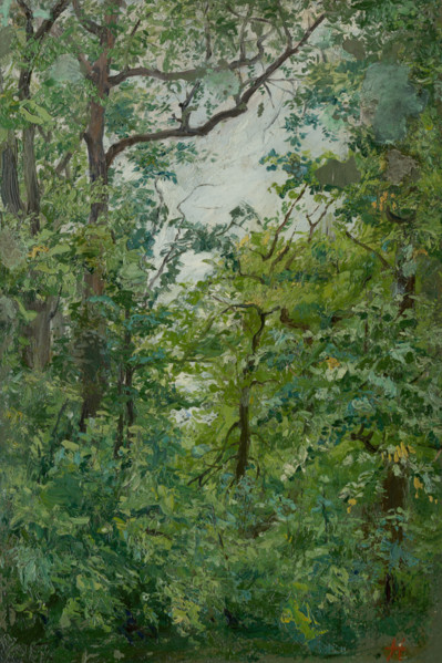 From the Park, 1900-1920.