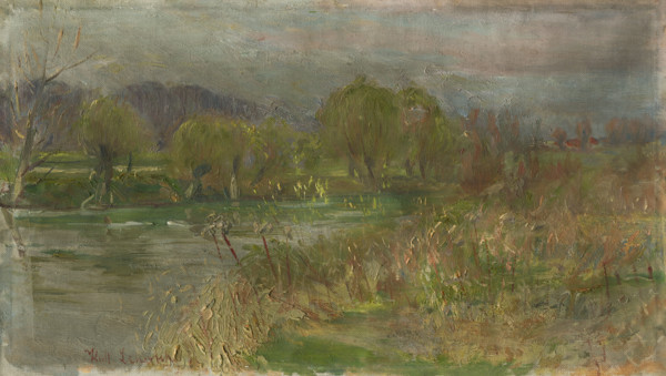 Landscape with swamp, c1900.