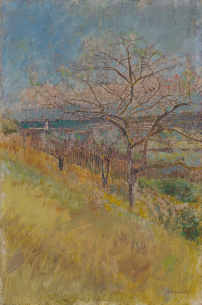 Valley with Trees in Bloom, 1890 - 1900.