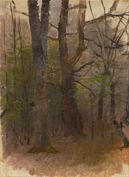 Early Spring. Forest, 1876 - 1877.