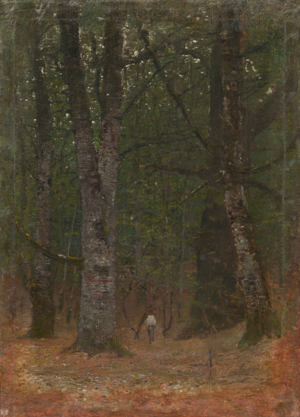 Man in the Woods, 1890-1900.