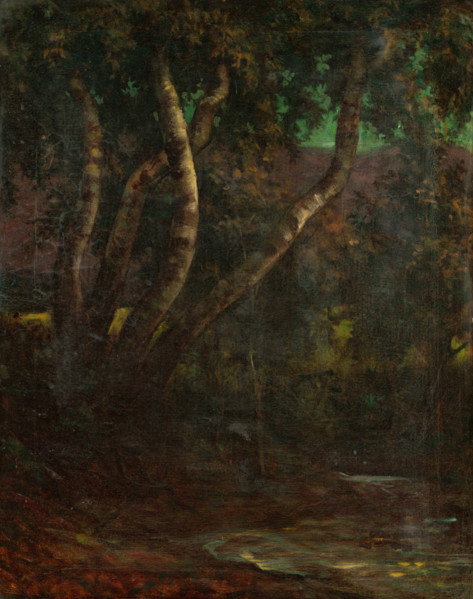 Forest, 1900-1920.