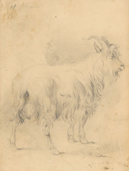 Drawing II., 1850/1857. Additional Info: Drawing album (40 sheets).
