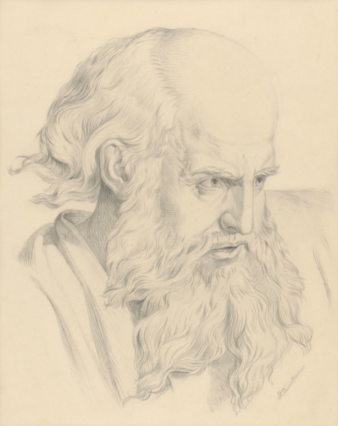 Old man's head, 1879.