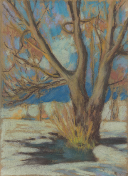 Study of a Bare Tree in Winter, 1934.