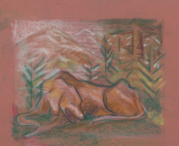 Dog in the forest, around 1937.