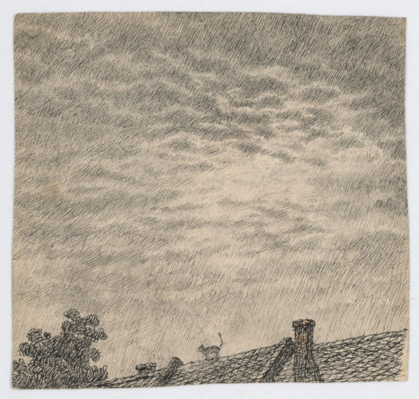 Rooftops, around 1905.