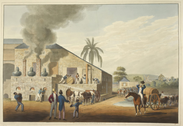 Curing-house and stills in Antigua, 1823. Creator: William Clark.
