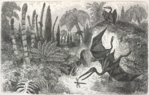 'Imaginary Landscape during the Secondary Epoch, with Pterodactyls, Lias Period', 1865.  Creator: Unknown.