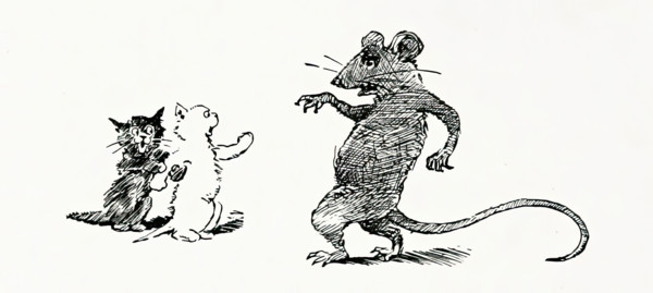 Kittens and rat, 1894.  Creator: Unknown.