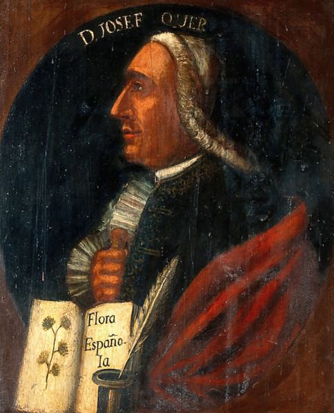 José Quer y Martínez (1695-1764). Creator: Unknown.