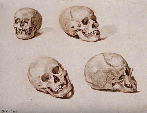 Four sketches of skulls, 1817. Creator: Unknown.