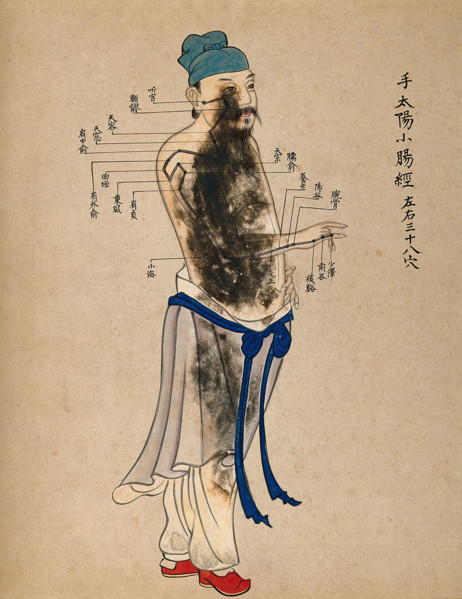 Acupuncture chart with a series of points indicated on the figure of a standing Chinese man. Creator: Unknown.
