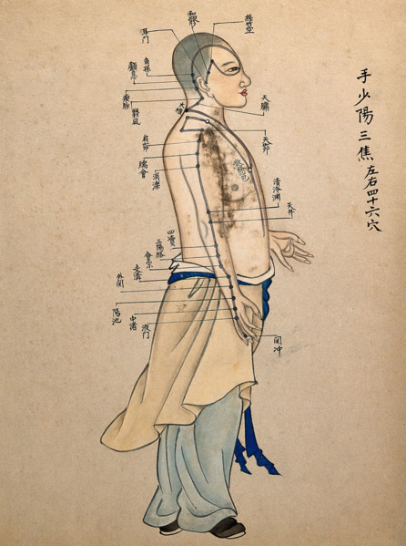 Acupuncture chart with a series of points indicated on the figure of a standing Chinese man. Creator: Unknown.