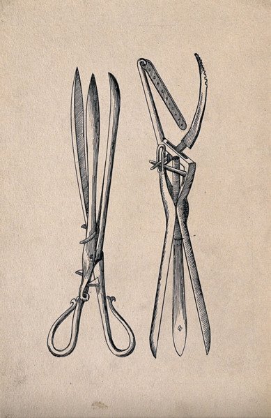 Surgical instrument. Creator: Unknown.