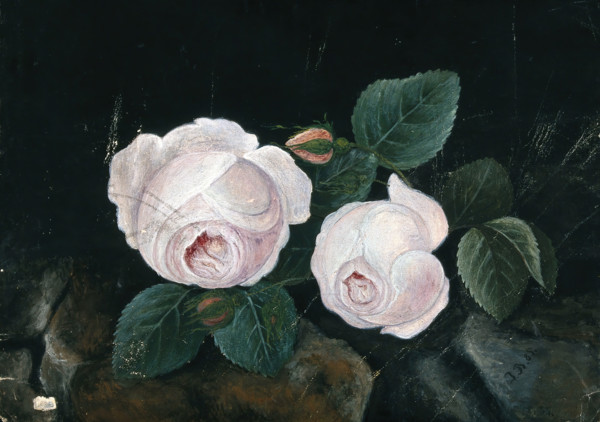 Two white roses, in a still-life, 1885. Creator: Unknown.