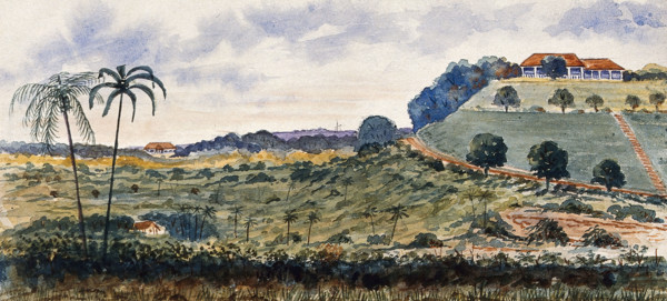 Singapore: a hill known as "Mount Echo", 1879. Creator: John Edmund Taylor.