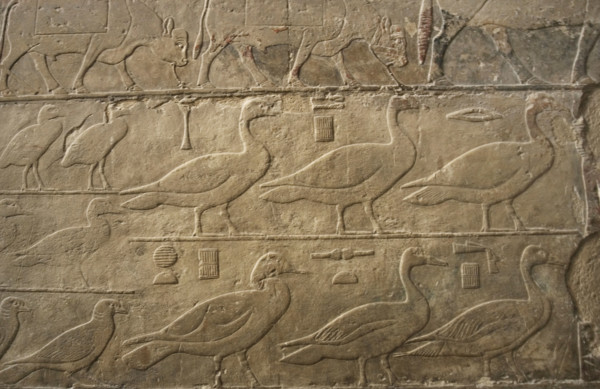 Relief showing ducks and birds, Mastaba of Ti, Egypt, 5th Dynasty, Old Kingdom, c2400 BC (2003). Creator: Unknown.