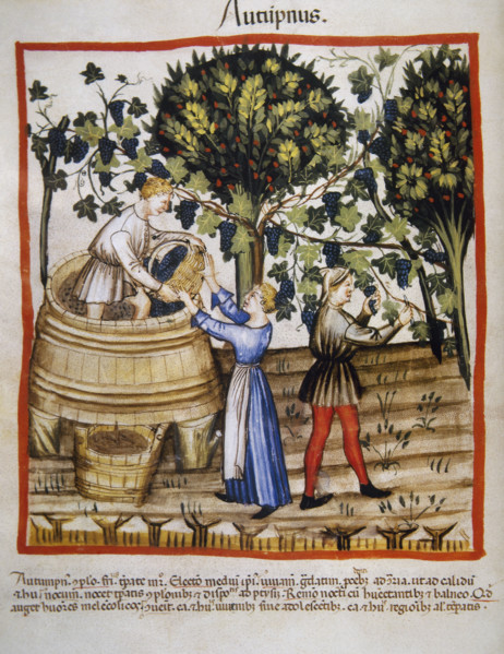 Autumn: Grape harvest and winemaking, 14th century.  Creator: Unknown.