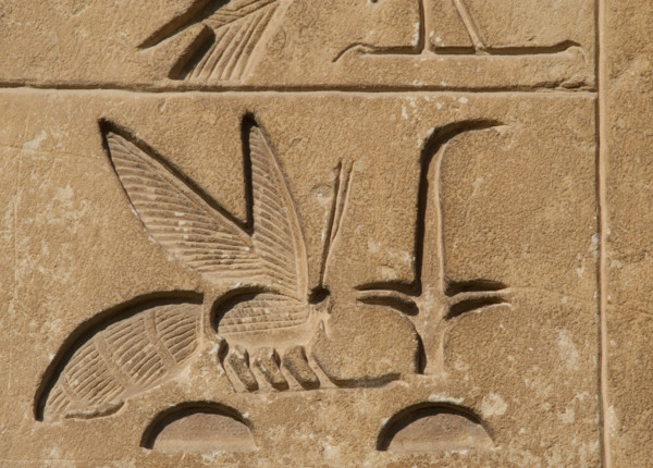 Hieroglyphic writing relief: Upper Egypt, (rush) and Lower Egypt (bee), Saqqara, Egypt, 2015.  Creator: Unknown.