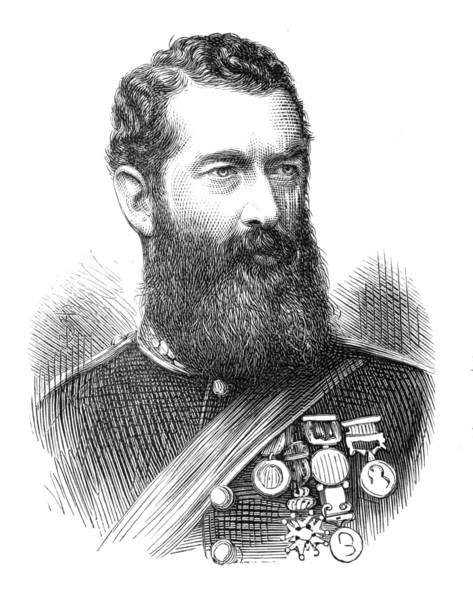 Col. F. W. Festing, C.B., Royal Marine Artillery, 1874. Creator: Unknown.