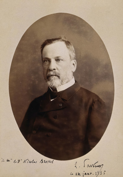 Louis Pasteur. Creator: Alphonse J. Liébert.