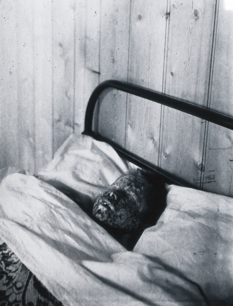 Gloucester smallpox epidemic, 1896: Kate Mills, a smallpox patient, 1896. Creator: HCF of Gloucester.