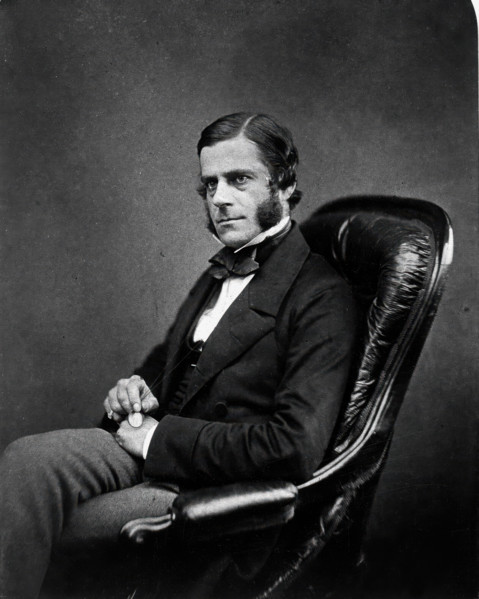 Sir Edward Henry Sieveking, 1850-59. Creator: Maull & Polyblank.
