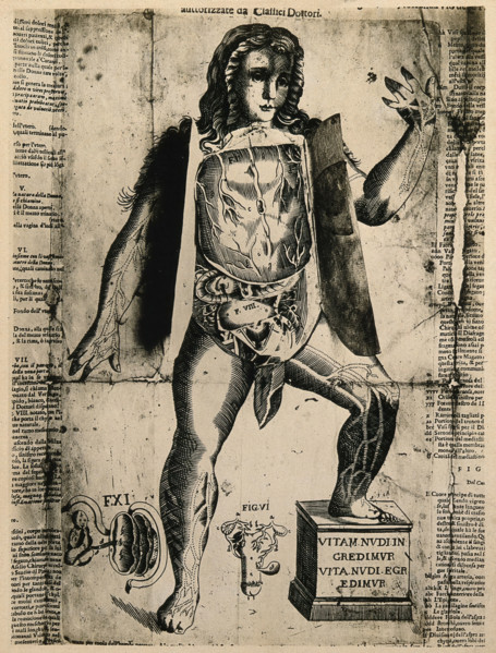 A female flap anatomy fugitive sheet, with layered flaps lifted to reveal the anatomy of the... Creator: Unknown.
