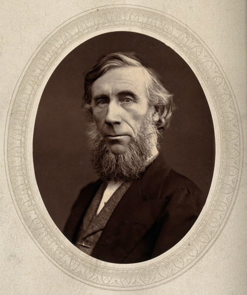 John Tyndall, late 19th century.  Creator: Lock & Whitfield.
