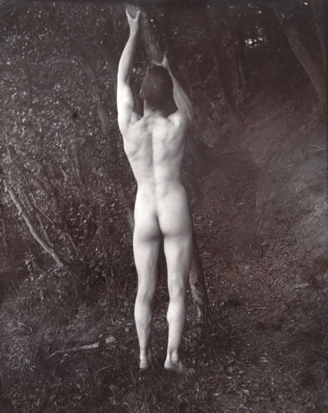 A man posing naked, with his back to the camera, holding on to a branch of a tree, c1900. Creator: Unknown.